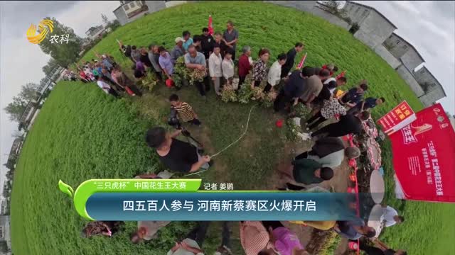 【2025“三只虎杯”中國花生王大賽】四五百人參與 河南新蔡賽區火爆開啟