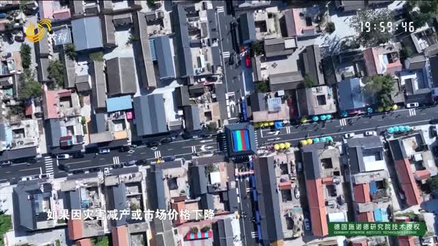 【2025年中國農民豐收節】人保財險創(chuàng  )新推出“興農收入?！毕盗挟a(chǎn)品 為農民收入裝上“安全鎖”