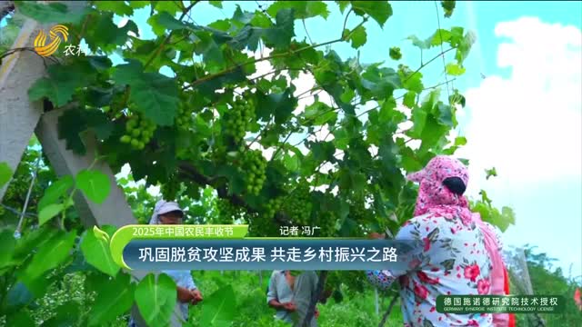 【2025年中國農民豐收節】鞏固脫貧攻堅成果 共走鄉村振興之路