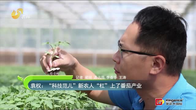 袁權：“科技范兒”新農人 “杠”上了番茄產(chǎn)業(yè)