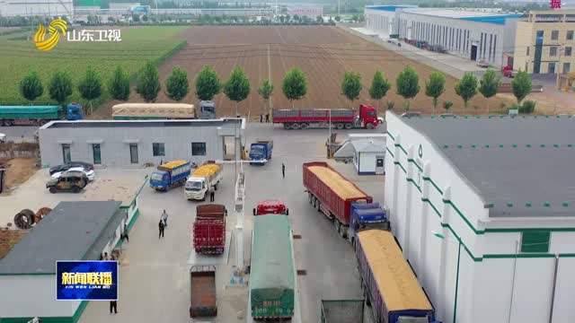 秋收遇秋雨 各地多举措护航“三秋”生产