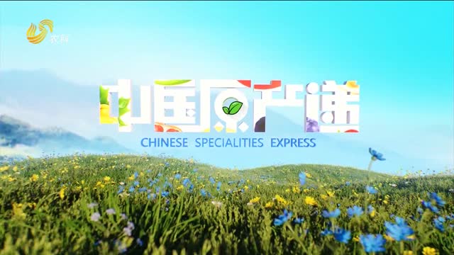 20251004《中国原产递》：鲅鱼饺子馅