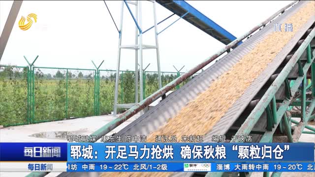 郓城：开足马力抢烘 确保秋粮“颗粒归仓”