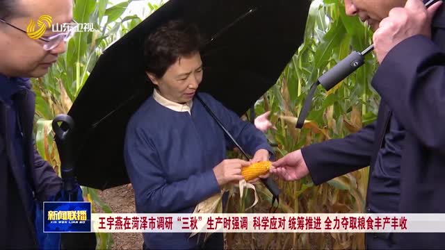 王宇燕在菏泽市调研“三秋”生产时强调 科学应对 统筹推进 全力夺取粮食丰产丰收
