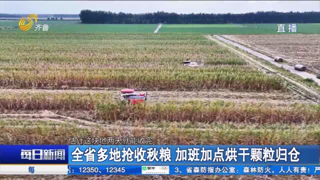 全省多地抢收秋粮 加班加点烘干颗粒归仓