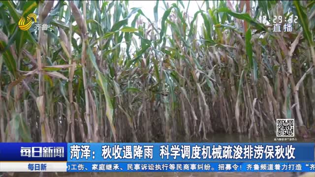 菏泽：秋收遇降雨 科学调度机械疏浚排涝保秋收