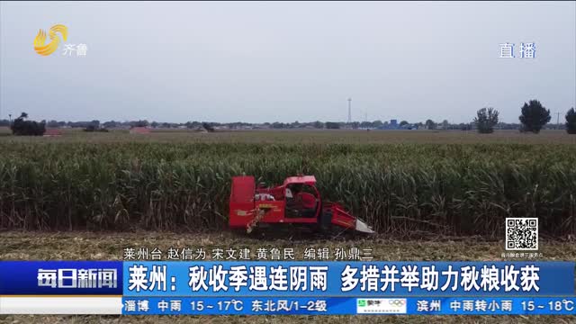 莱州：秋收季遇连阴雨 多措并举助力秋粮收获