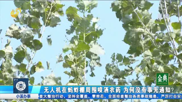 阳谷：无人机在蚂蚱棚周围喷洒农药致蚂蚱死亡？