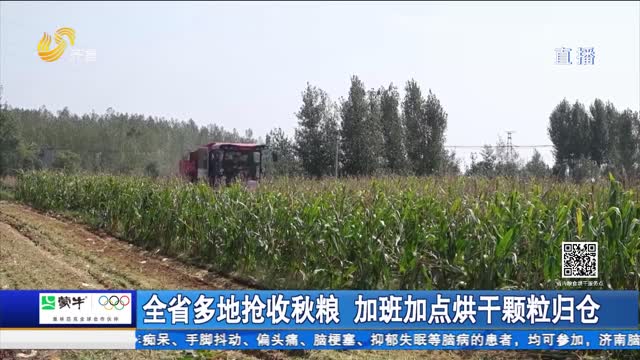 全省多地抢收秋粮 加班加点烘干颗粒归仓