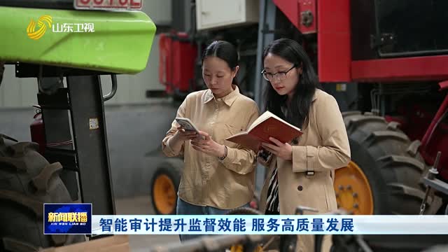 智能審計(jì)提升監(jiān)督效能 服務(wù)高質(zhì)量發(fā)展