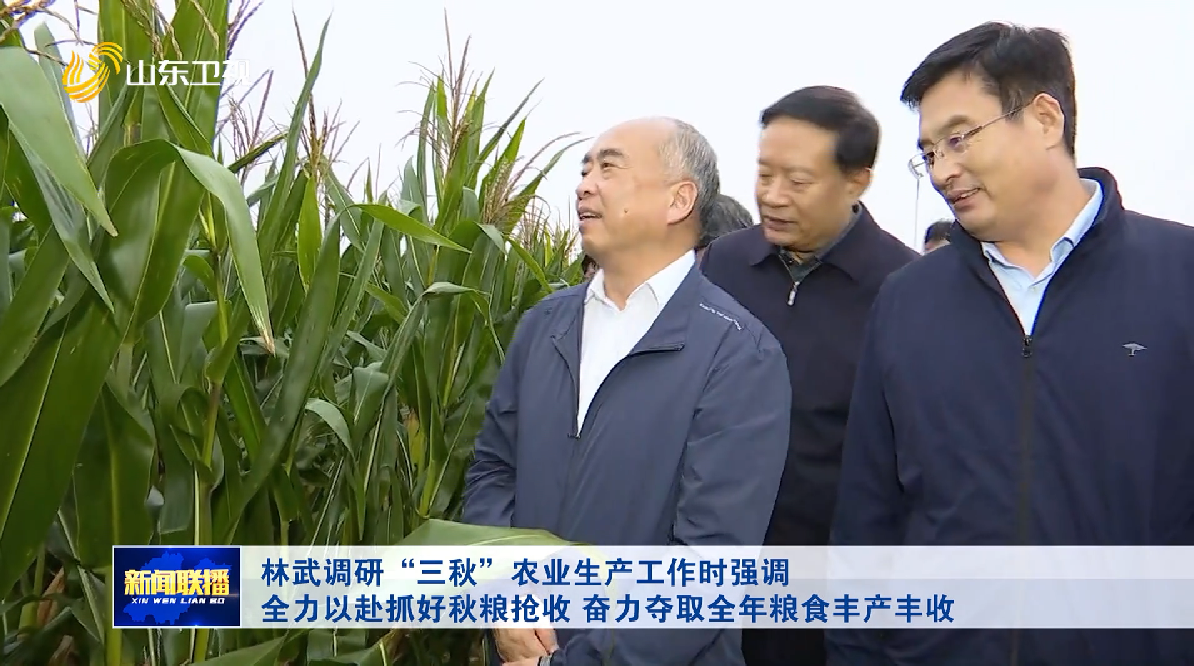 林武调研“三秋”农业生产工作时强调 全力以赴抓好秋粮抢收 奋力夺取全年粮食丰产丰收