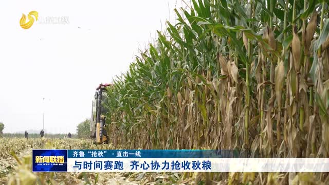 與時間賽跑 齊心協力搶收秋糧【齊魯“搶秋”·直擊一線】