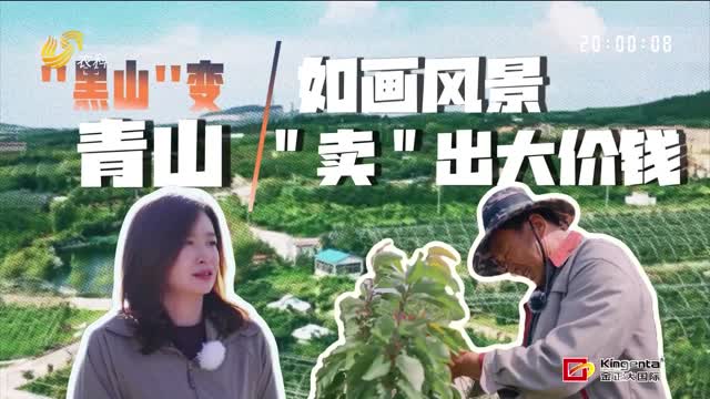 “黑”山变青山 如画风景“卖”出大价钱