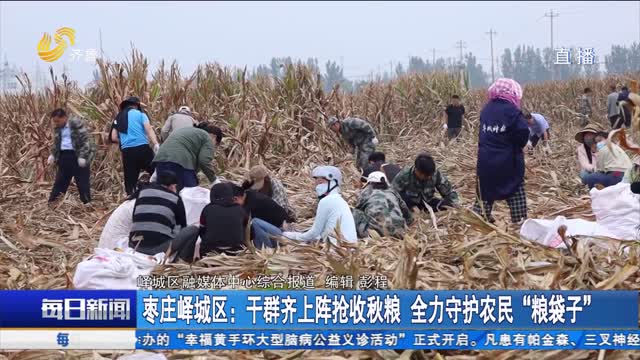 枣庄峄城区：干群齐上阵抢收秋粮 全力守护农民“粮袋子”