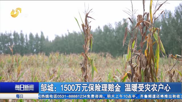 邹城：1500万元保险理赔金 温暖受灾农户心