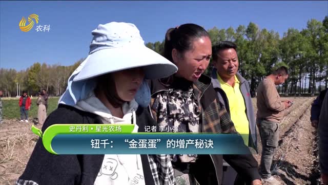 【史丹利·星光農(nóng)場】鈕千：“金蛋蛋”的增產(chǎn)秘訣