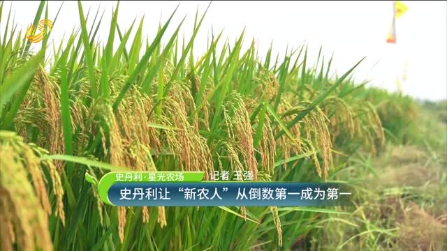 【史丹利·星光農(nóng)場】史丹利讓“新農(nóng)人”從倒數(shù)第一成為第一