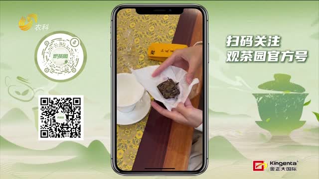 【观茶园】品味回甘