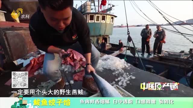 20251018《中国原产递》：鲅鱼饺子馅