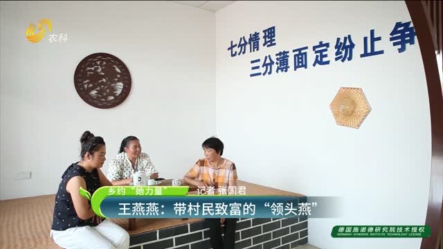 【鄉(xiāng)約“她力量”】王燕燕：帶村民致富的“領(lǐng)頭燕”