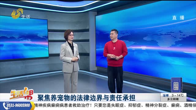 聚焦养宠物的法律边界与责任承担