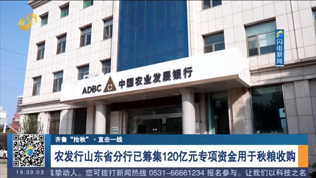 【齐鲁“抢秋”·直击一线】农发行山东省分行已筹集120亿元专项资金用于秋粮收购