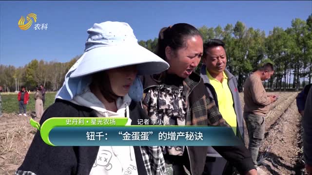 【史丹利·星光農(nóng)場】鈕千：“金蛋蛋”的增產(chǎn)秘訣