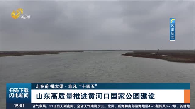 【走在前 挑大梁·非凡“十四五”】山东高质量推进黄河口国家公园建设