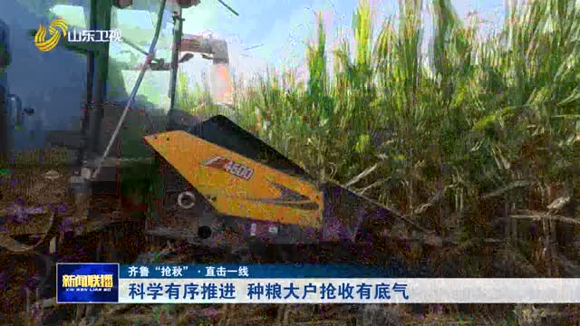 科学有序推进 种粮大户抢收有底气【齐鲁“抢秋”·直击一线】