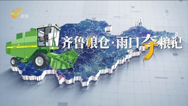 【齊魯糧倉·雨口奪糧記】雨夜搶糧：一個農(nóng)機手的不眠夜