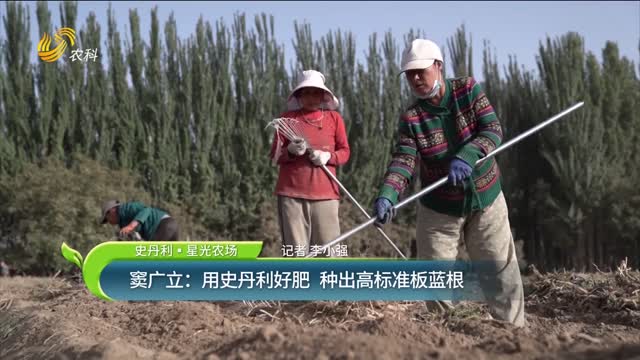 【史丹利·星光農(nóng)場】竇廣立：用史丹利好肥 種出高標(biāo)準(zhǔn)板藍(lán)根