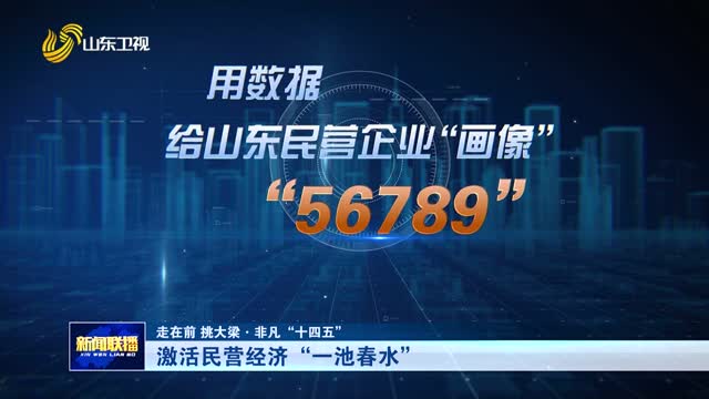 激活民营经济“一池春水”【走在前 挑大梁·非凡“十四五”】