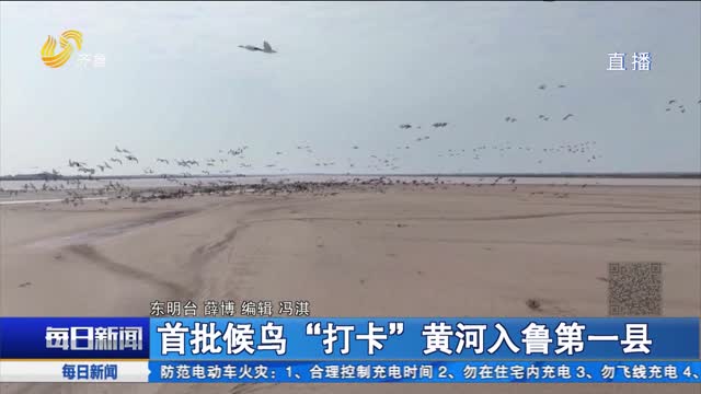 首批候鸟“打卡”黄河入鲁第一县