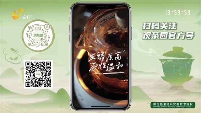 【观茶园】霜降适合喝什么茶