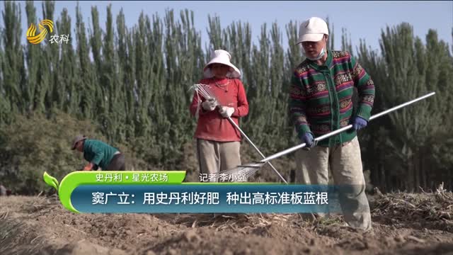 【史丹利·星光農場】竇廣立：用史丹利好肥 種出高標準板藍根