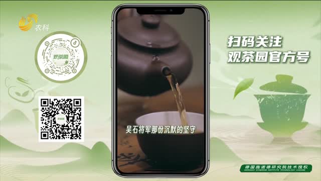 【观茶园】读懂《沉默的荣耀》：一杯茶里的东方风骨