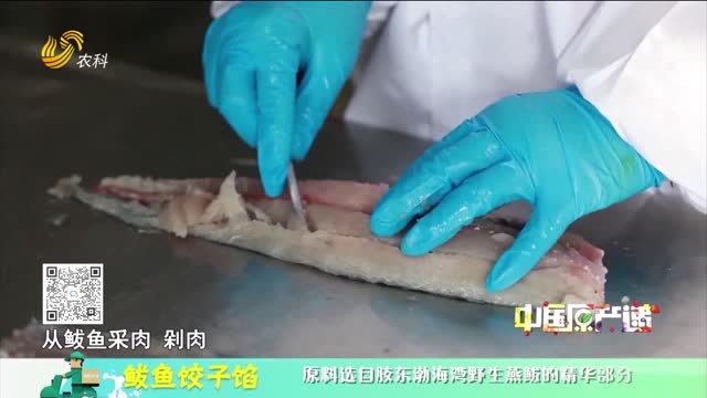 20251025《中国原产递》：鲅鱼饺子馅