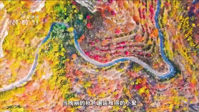 2025年10月26日《好客山东休闲荟》