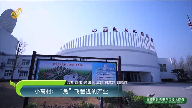 茌平小高村：“兔”飛猛進(jìn)的產(chǎn)業(yè)