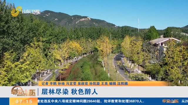 層林盡染 秋色醉人