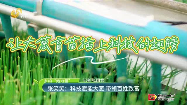 【鄉(xiāng)約“她力量”】張笑笑：科技賦能大蔥 帶領(lǐng)百姓致富