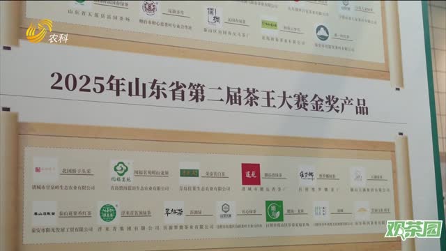 【观茶园】首届“鲁茶消费季”正式启动