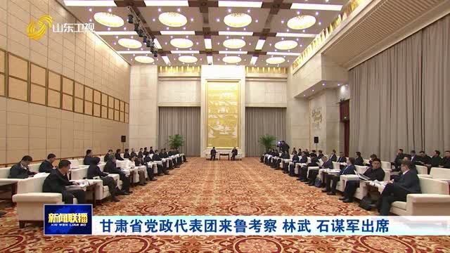 甘肃省党政代表团来鲁考察 林武 石谋军出席