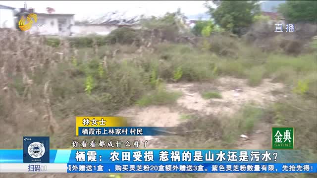 栖霞：农田受损 惹祸的是山水还是污水？