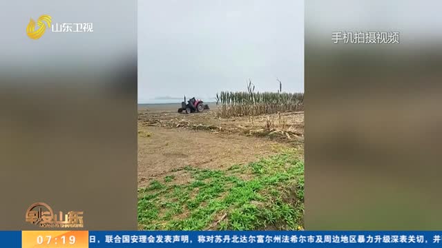 聊城：村民患病60多亩农田无暇管 百余乡亲抢收抢种暖人心