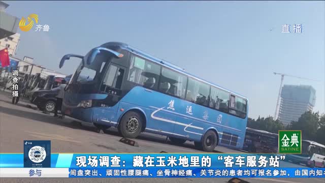 现场调查：藏在玉米地里的“客车服务站”