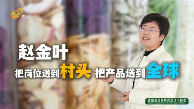 【乡约“她力量”】赵金叶：把岗位送到村头 把产品送到全球