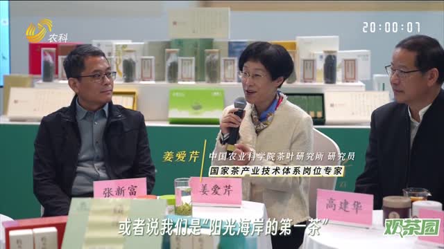 【观茶园】山东茶背后的“山东味”