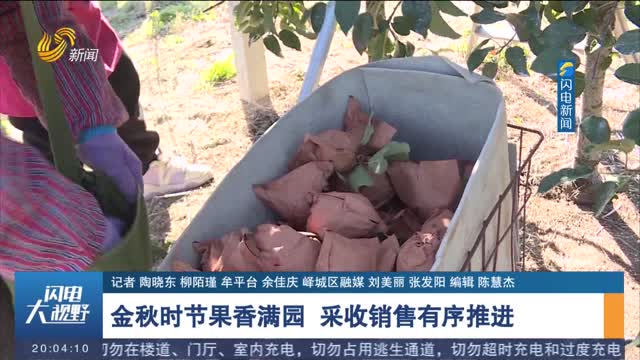 金秋时节果香满园 采收销售有序推进