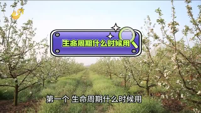 果園施有機(jī)肥 記住這個“黃金窗口期”